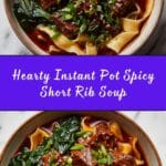 Instant Pot Spicy Short Rib Noodle Soup Recipe