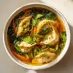 Potsticker Soup Recipe