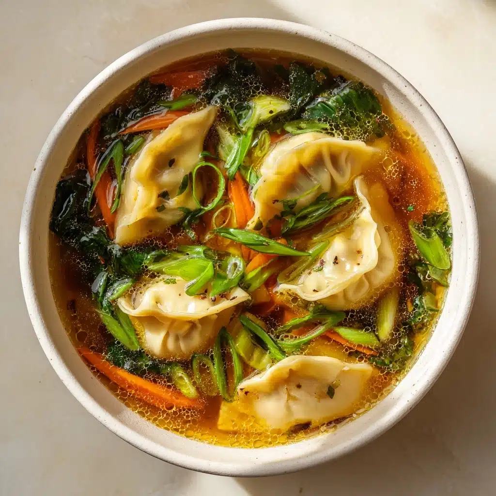 Potsticker Soup Recipe