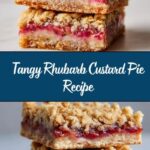 Rhubarb Custard Pie Recipe