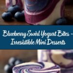 Blueberry Swirl Yogurt Bites Recipe
