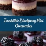 Blackberry Mini Cheesecakes Recipe
