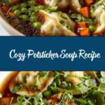 Potsticker Soup Recipe