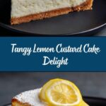 Lemon Custard Cake Recipe