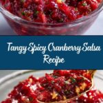 Spicy Cranberry Salsa Recipe