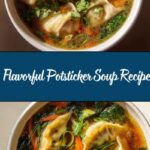 Potsticker Soup Recipe