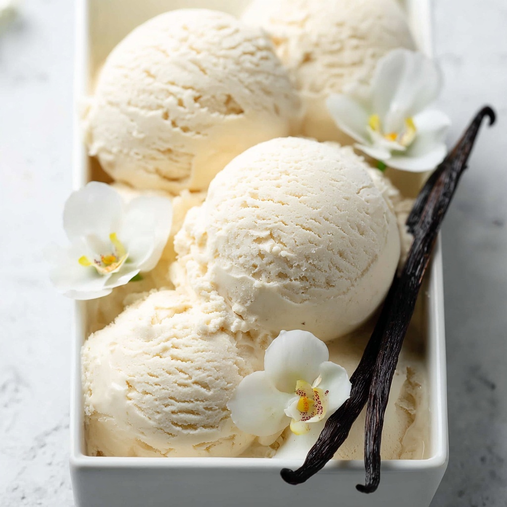 Creamy Vegan Vanilla Ice Cream (Nut Free & Gluten-Free) Recipe - Recipe Image